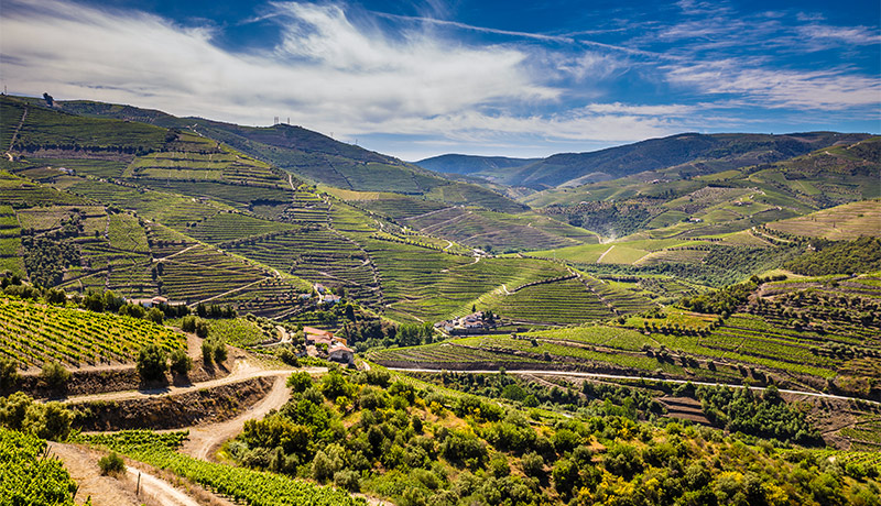 Rondreis Portugal door de Douro-vallei