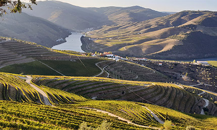 Douro-vallei in Noord-Portugal