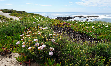 Fietsvakantie langs onder andere de Costa Vicentina