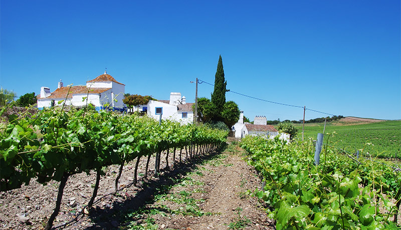 Vakantiehuis in Alentejo, Portugal