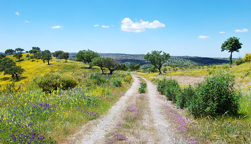 Prachtig wandellandschap van de Alentejo