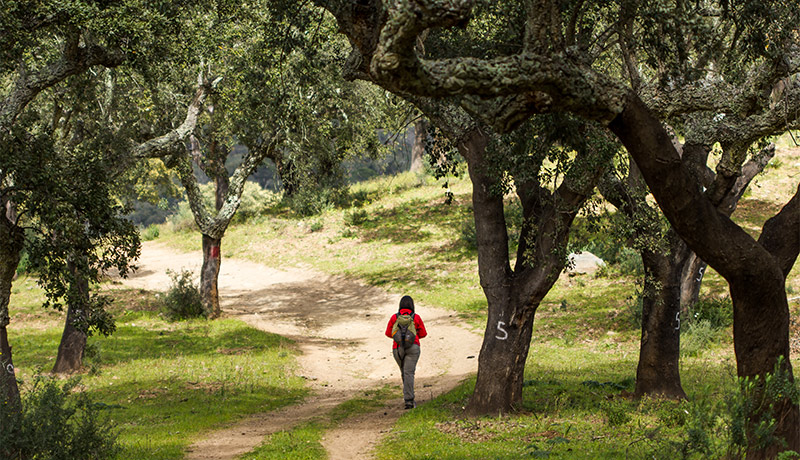 Wandelen door de Alentejo, Zuid-Portugal